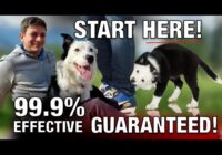 All Good Dog Trainers Know This Will Solve 99% of Problems Training Your Dog (It’s NOT EXERCISE!)