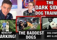 THE BADDEST DOGS I’ve Trained! NONSTOP BARKING, Dog Crate BAN… YOUR TOUGHEST Questions ANSWERED!