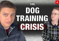 Responding to your questions about the dog training crisis.