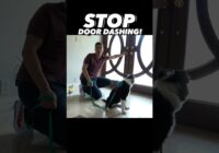 How to STOP Door Dashing #dogtraining #dogtrainer #puppytraining