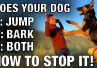 How To Train ANY Dog to Stop Barking & Jumping: Don’t Fall For The Dominance Trap!