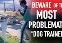 Speaking out Against ￼The Most Problematic Dog Trainer on the Internet