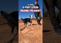 Is your 6-foot leash holding you back? #dogtrainer #dogtraining #puppytraining #leashwalking #dogs