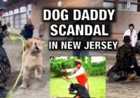 Dog Daddy’s Workshop DISASTER: Westbrook Pet Resort Faces SHUT DOWN in New Jersey