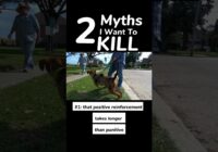 2 Myths I Want to Kill ☠️