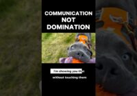 Communication *NOT* Domination