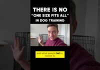 There is NO “One Size Fits All” Approach in Dog Training