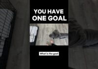 You Have ONE Goal…